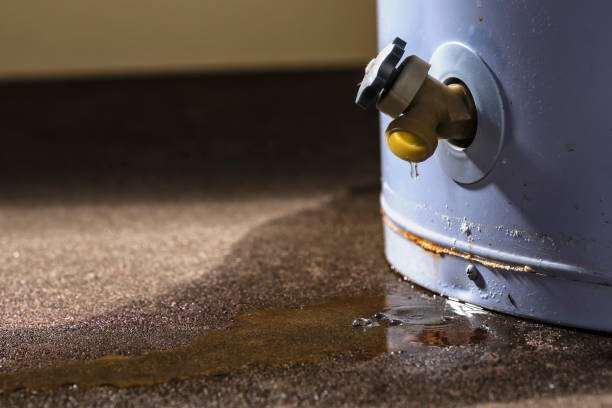 Best Water damage cleanup near me  in Melwood, MD