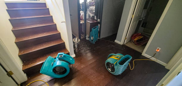 Best Residential water damage restoration  in Melwood, MD