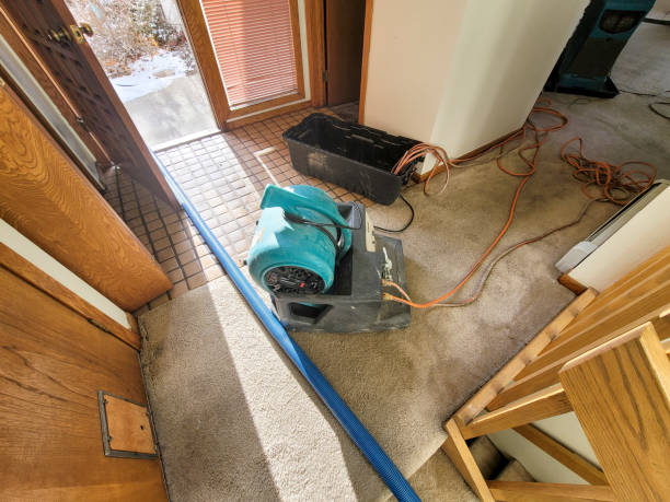 Best Sewage cleanup and water damage restoration  in Melwood, MD