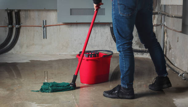 Best Fire Damage Restoration  in Melwood, MD