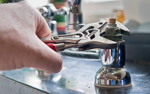 Best Professional water damage repair  in Melwood, MD