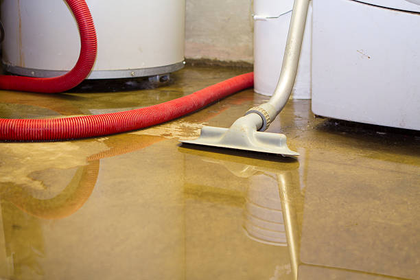 Best Basement water damage restoration  in Melwood, MD