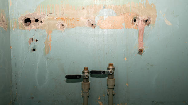 Best Commercial water damage restoration  in Melwood, MD