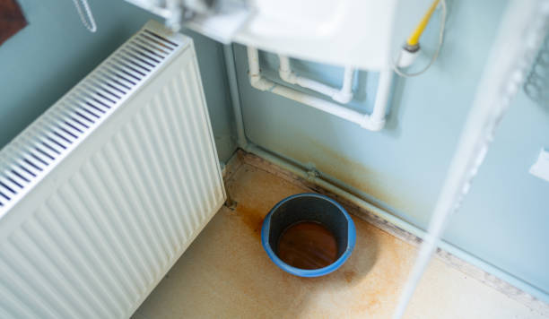 Best Mold removal after water damage  in Melwood, MD