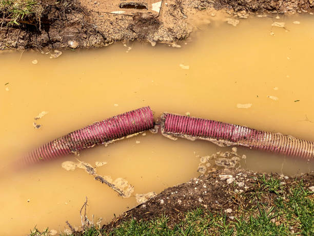  Melwood, MD Water damage restoration Pros