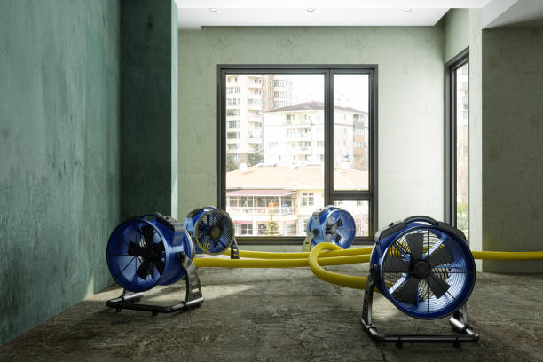 Best Water damage restoration near me  in Melwood, MD