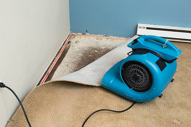Best Emergency water damage restoration  in Melwood, MD